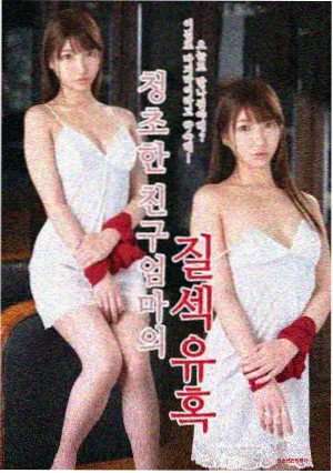 在线观看萌道动漫首季电视放送封面